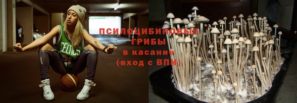 крисы Белоозёрский