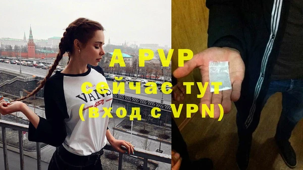 крисы Белоозёрский