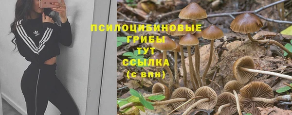 крисы Белоозёрский