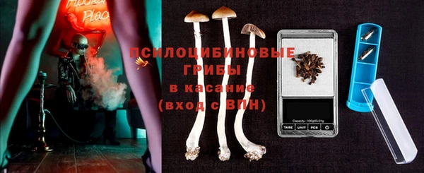 крисы Белоозёрский