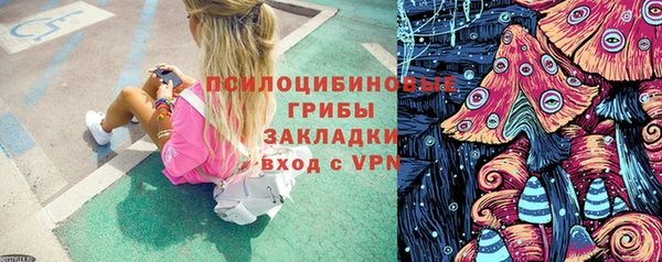 крисы Белоозёрский